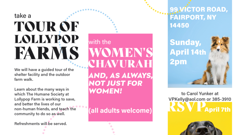 Banner Image for Women's Chavurah: Tour of Lollypop Farm